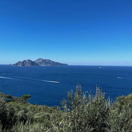 Apartment Don Luigino - Capri View By Interhome Маса Лубрензе Екстериор снимка