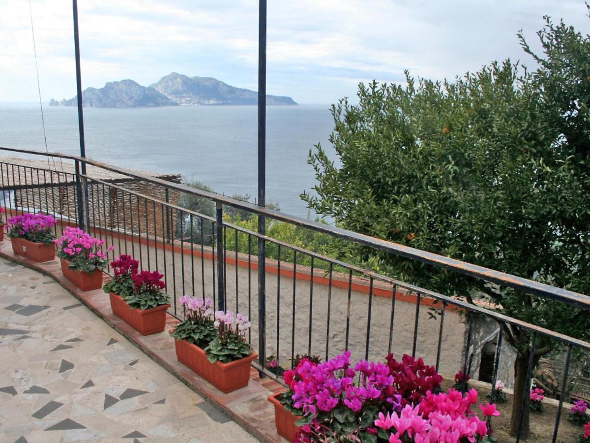 Apartment Don Luigino - Capri View By Interhome Маса Лубрензе Екстериор снимка